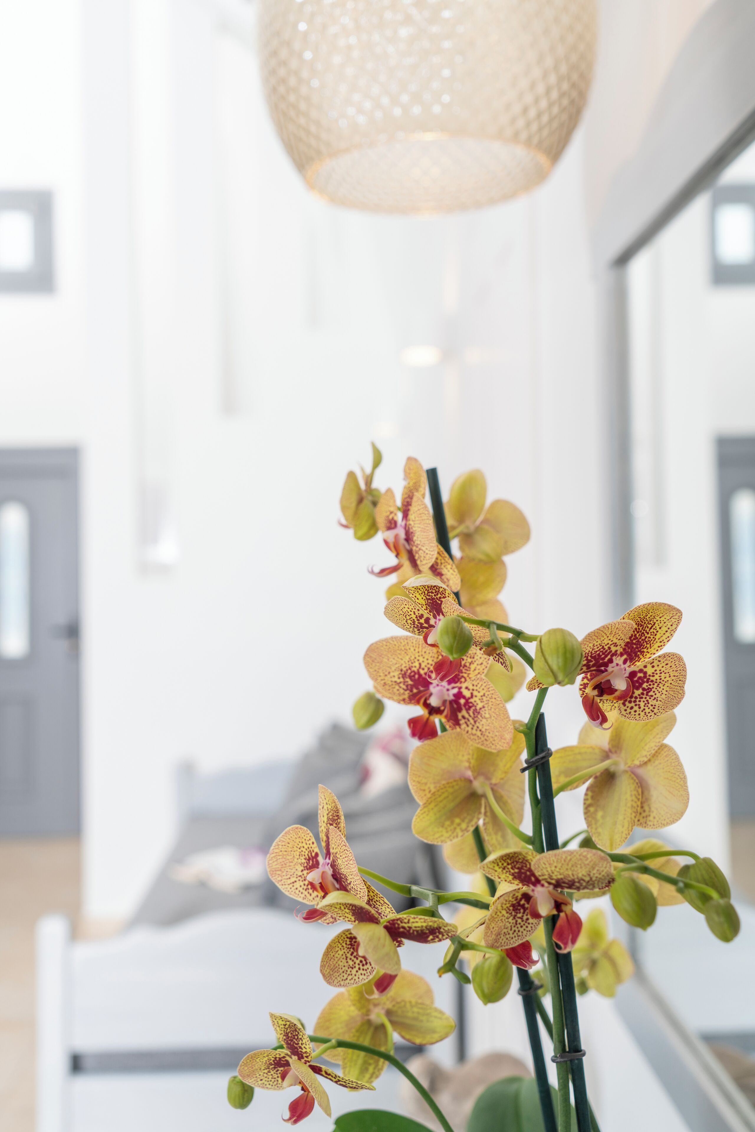 suite (santorini) | 1 bedroom, in-room safe, soundproofing, free wifi