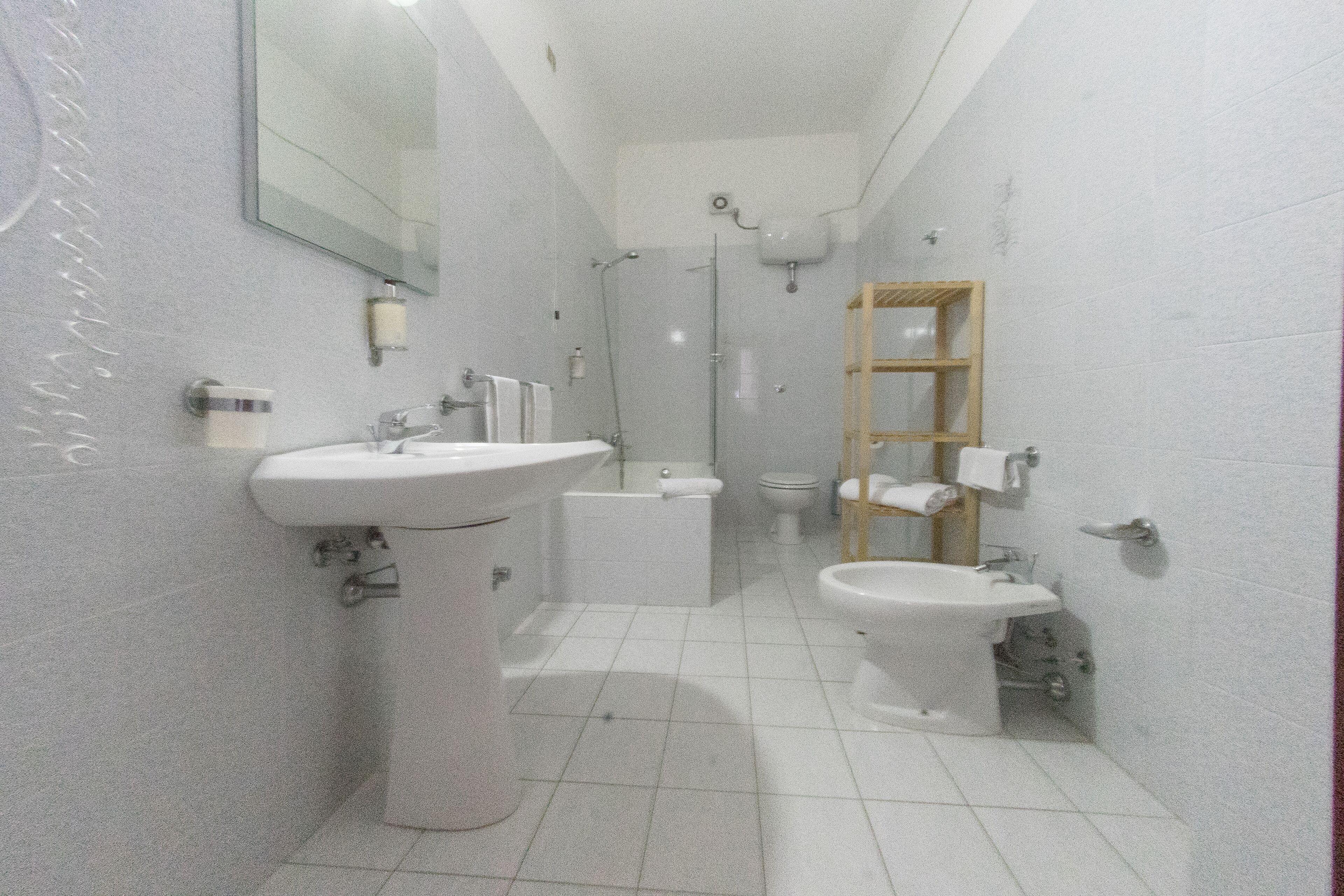 combined shower/bathtub, free toiletries, hair dryer, bidet