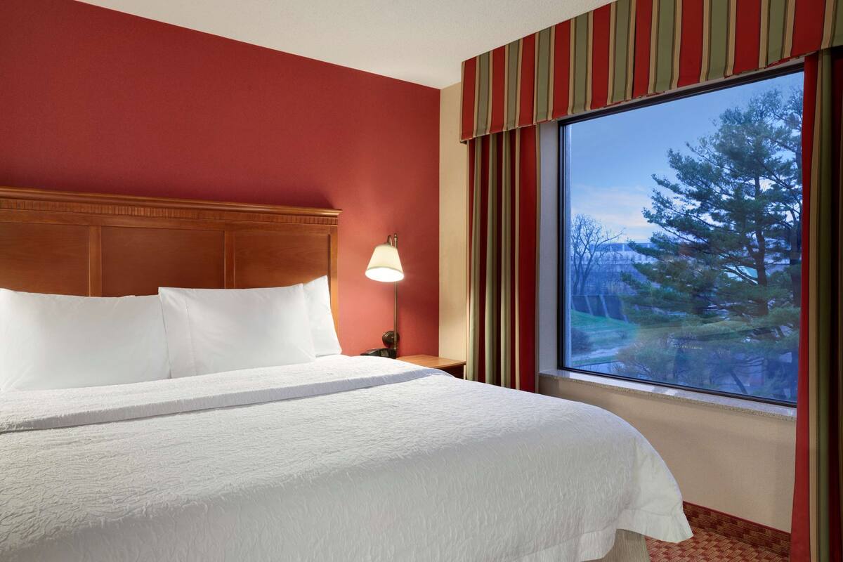 Une chambre d’hôtel avec un grand lit, une table de chevet, une lampe et une fenêtre donnant sur des arbres.
