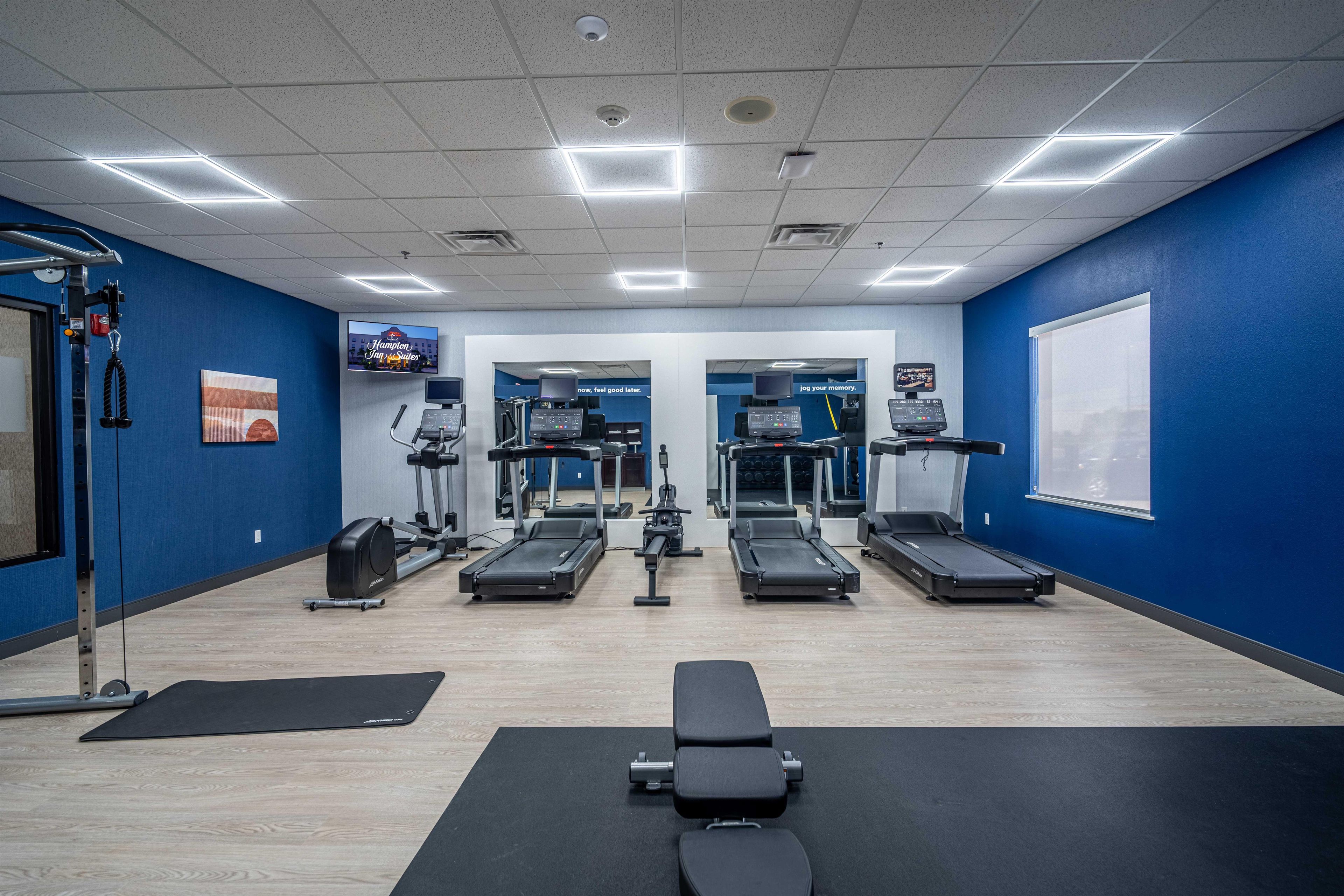 A gym with treadmills, elliptical machines, and weight equipment.