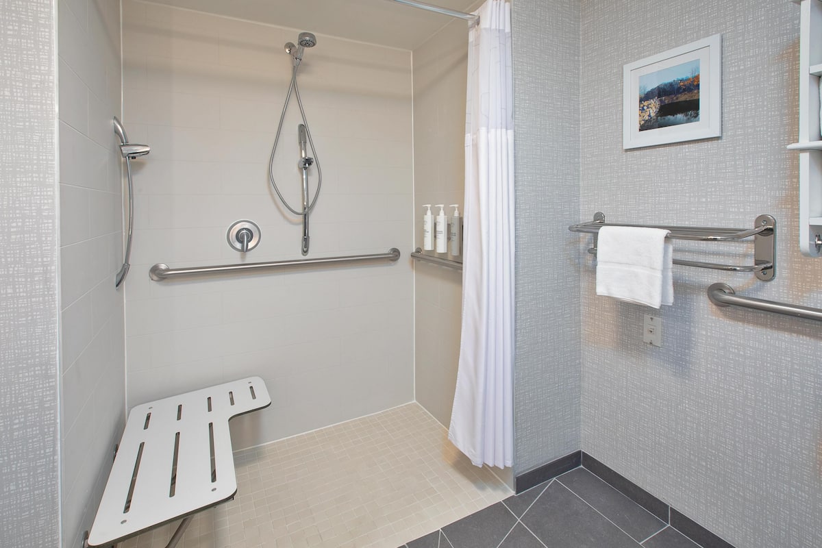 Room, 1 King Bed, Accessible, Non Smoking | Bathroom shower