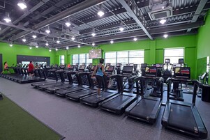 Un gimnasio con cintas de correr y equipo de ejercicio, paredes verdes y una pantalla grande mostrando un programa de entrenamiento.