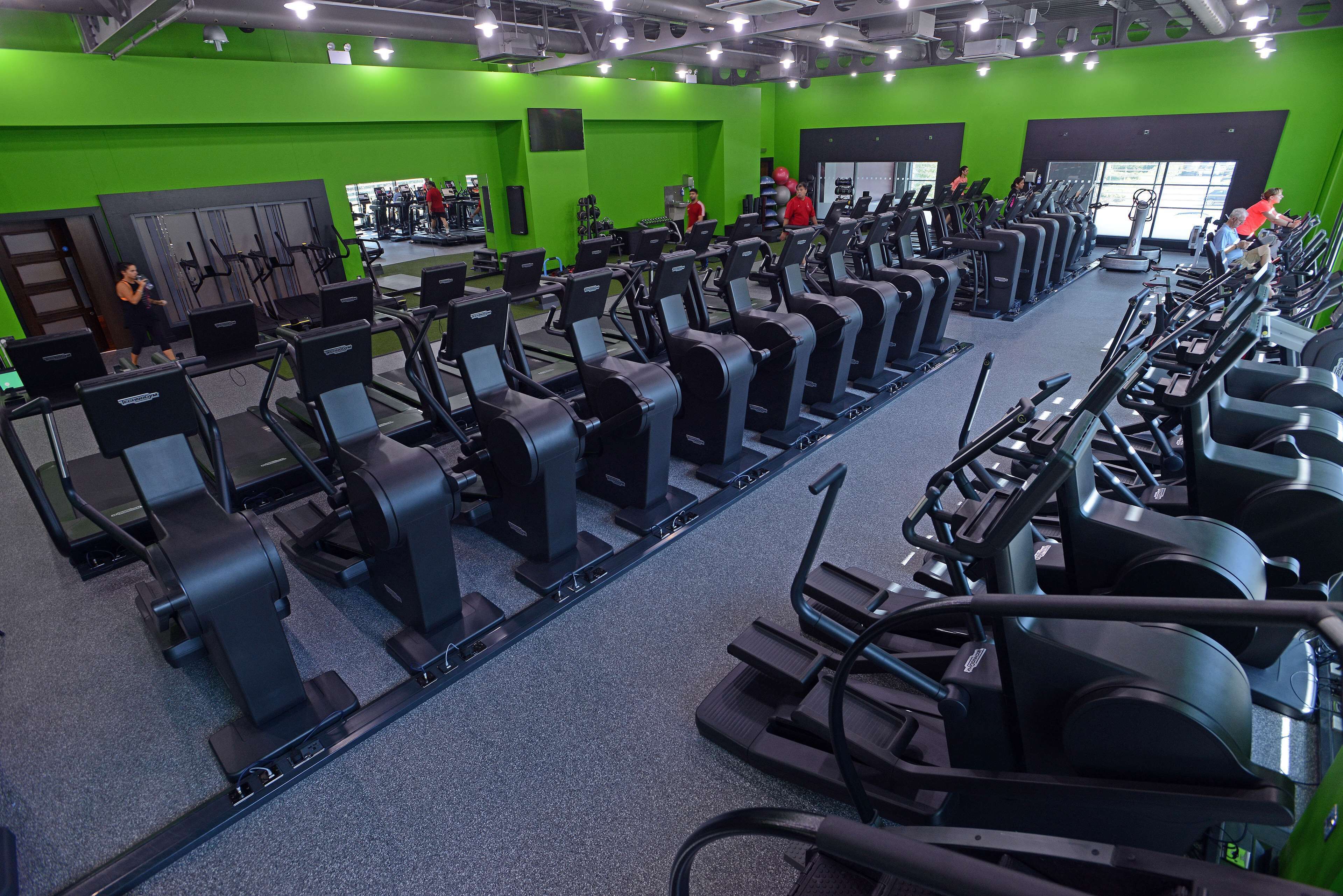 Un gimnasio con múltiples cintas de correr y equipo de ejercicio, paredes verdes y ventanas amplias.