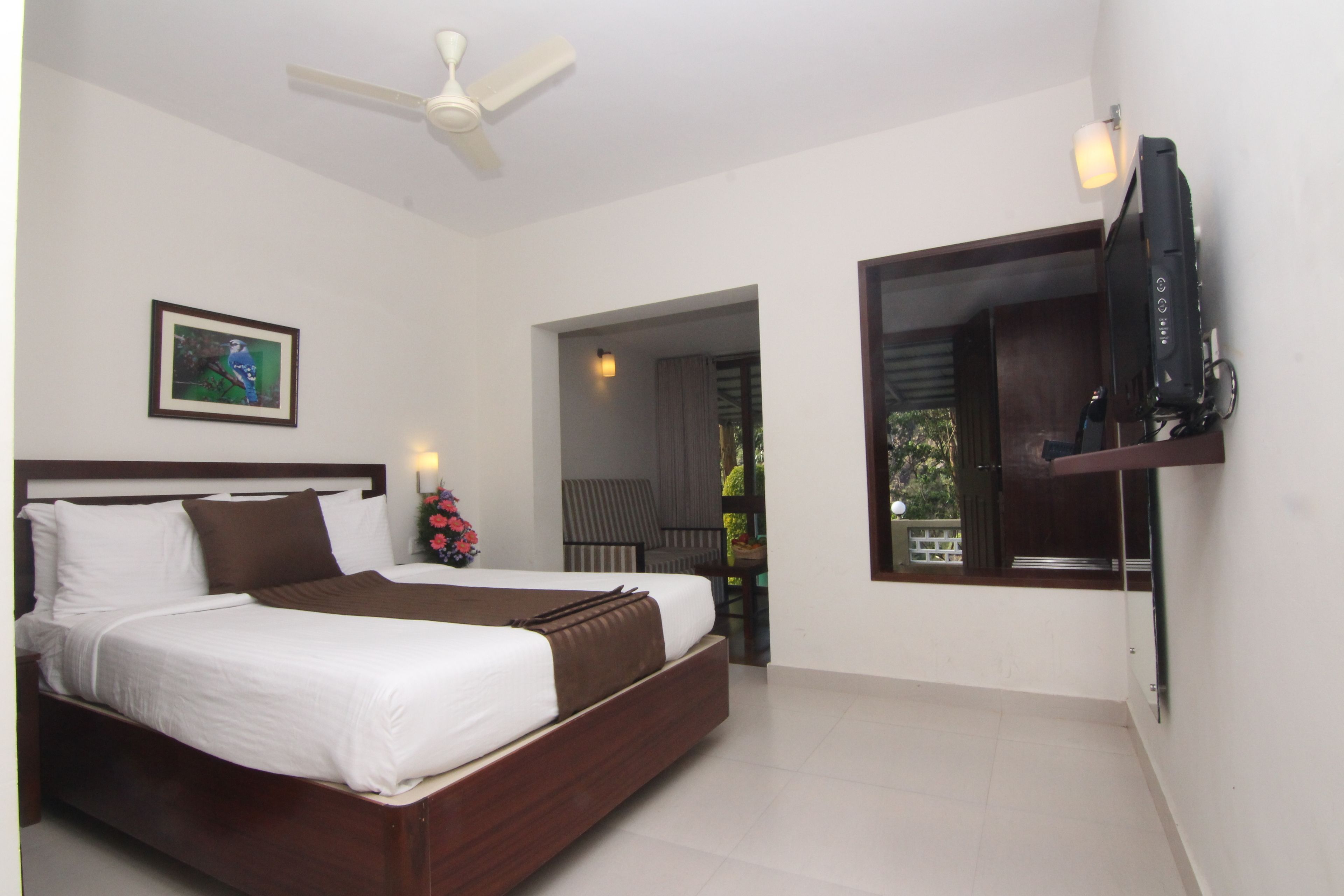 Superior Room | View from room