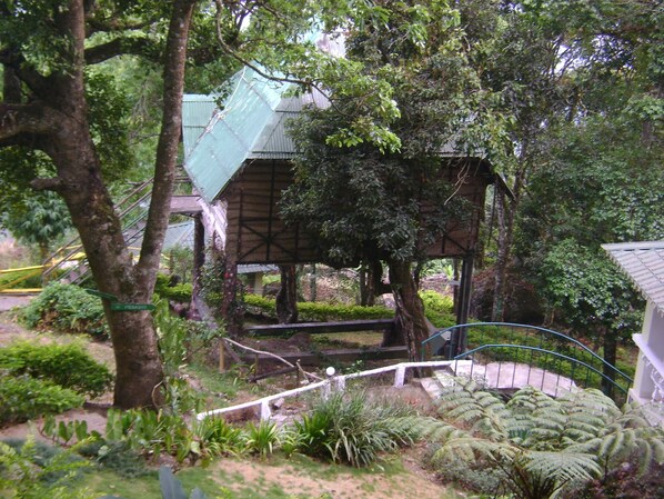 Área da propriedade