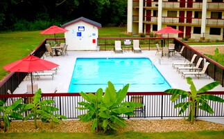 Seasonal outdoor pool, pool umbrellas, sun loungers