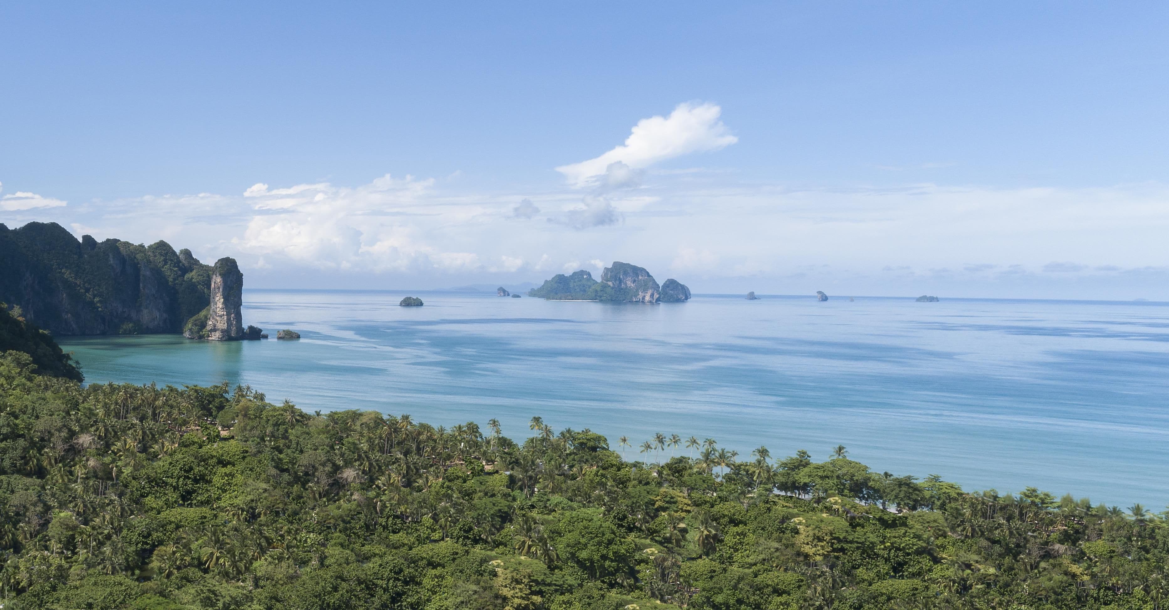 A coastal landscape with a prominent cliff, calm sea, and dense tropical vegetation.