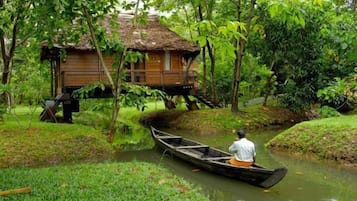 Lake view