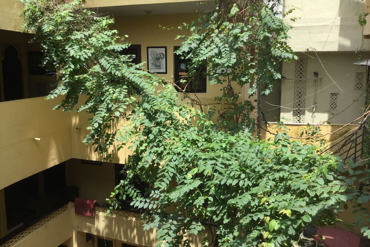 A multi-level building with balconies, a staircase, and greenery.