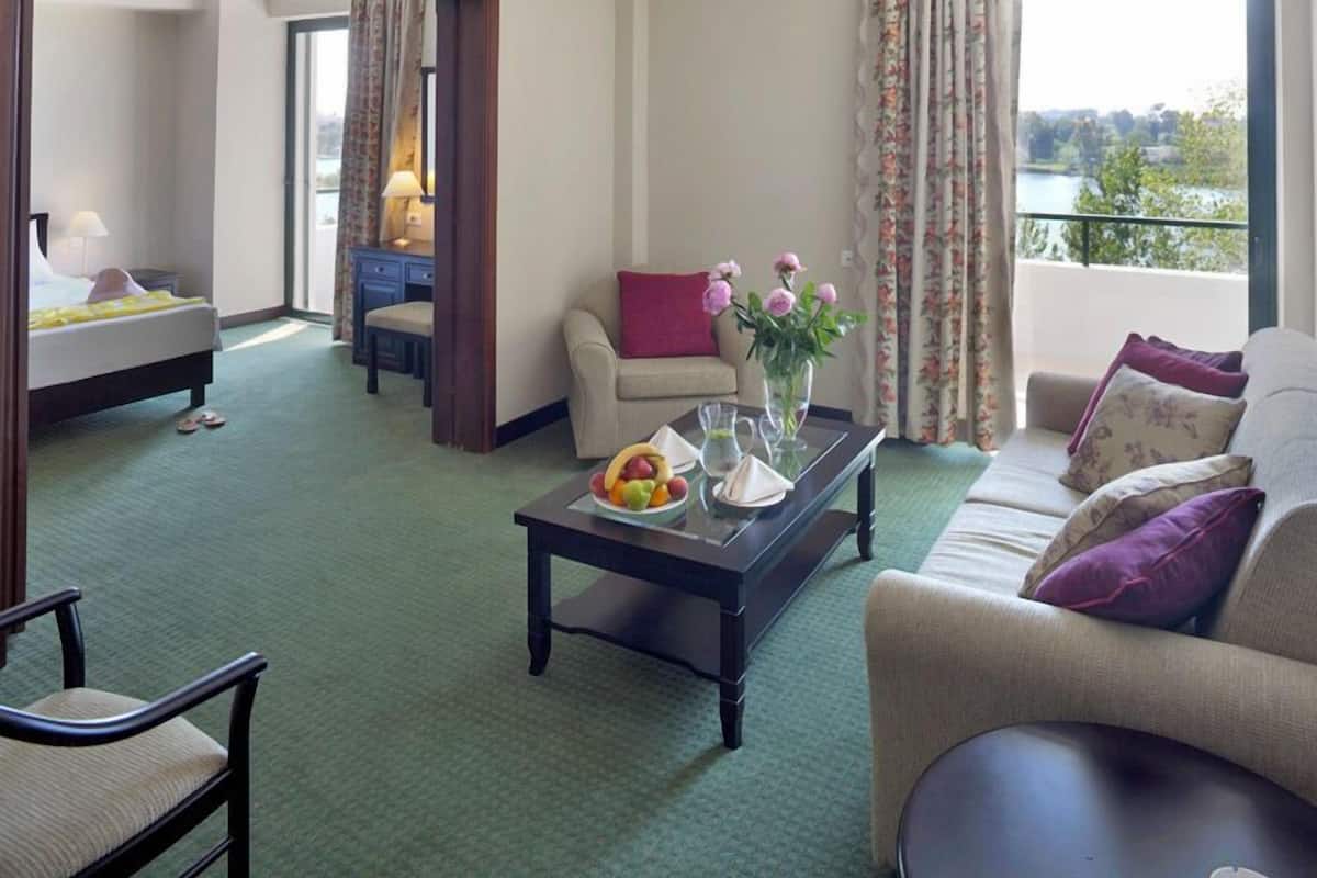 Superior Suite | Hypo-allergenic bedding available, down comforters, minibar