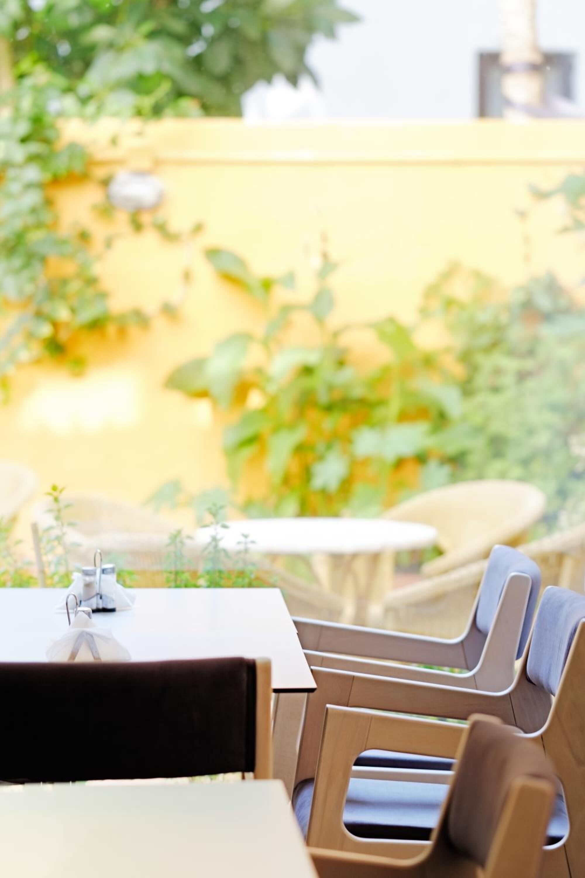 Foto - Savoy City Hotel