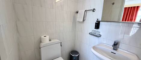 A bathroom with a toilet, sink, and mirror.