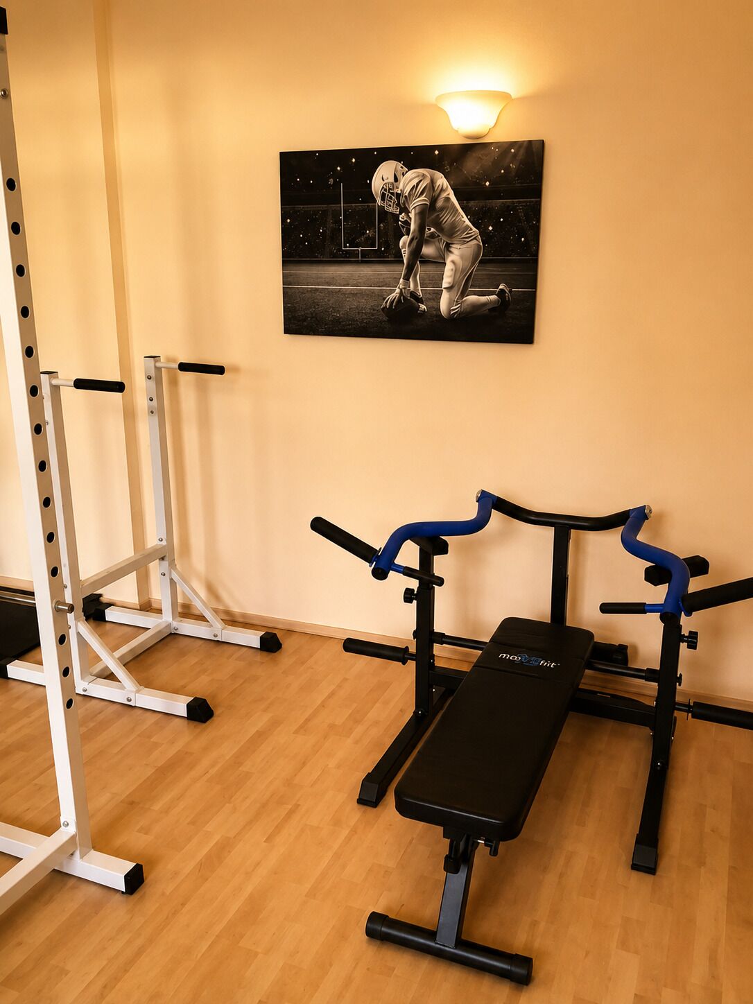 A gym with a bench press, squat rack, and a wall-mounted picture of an athlete.