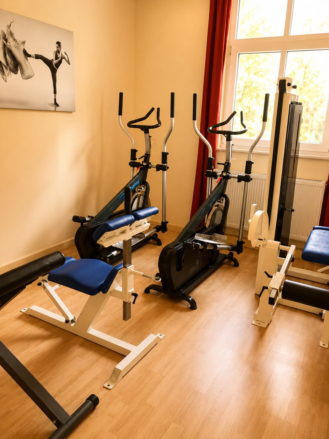 A gym with cardio machines, a bench, and a wall-mounted picture.