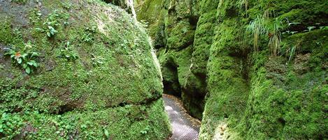 A narrow, moss-covered rock formation with a metal walkway.