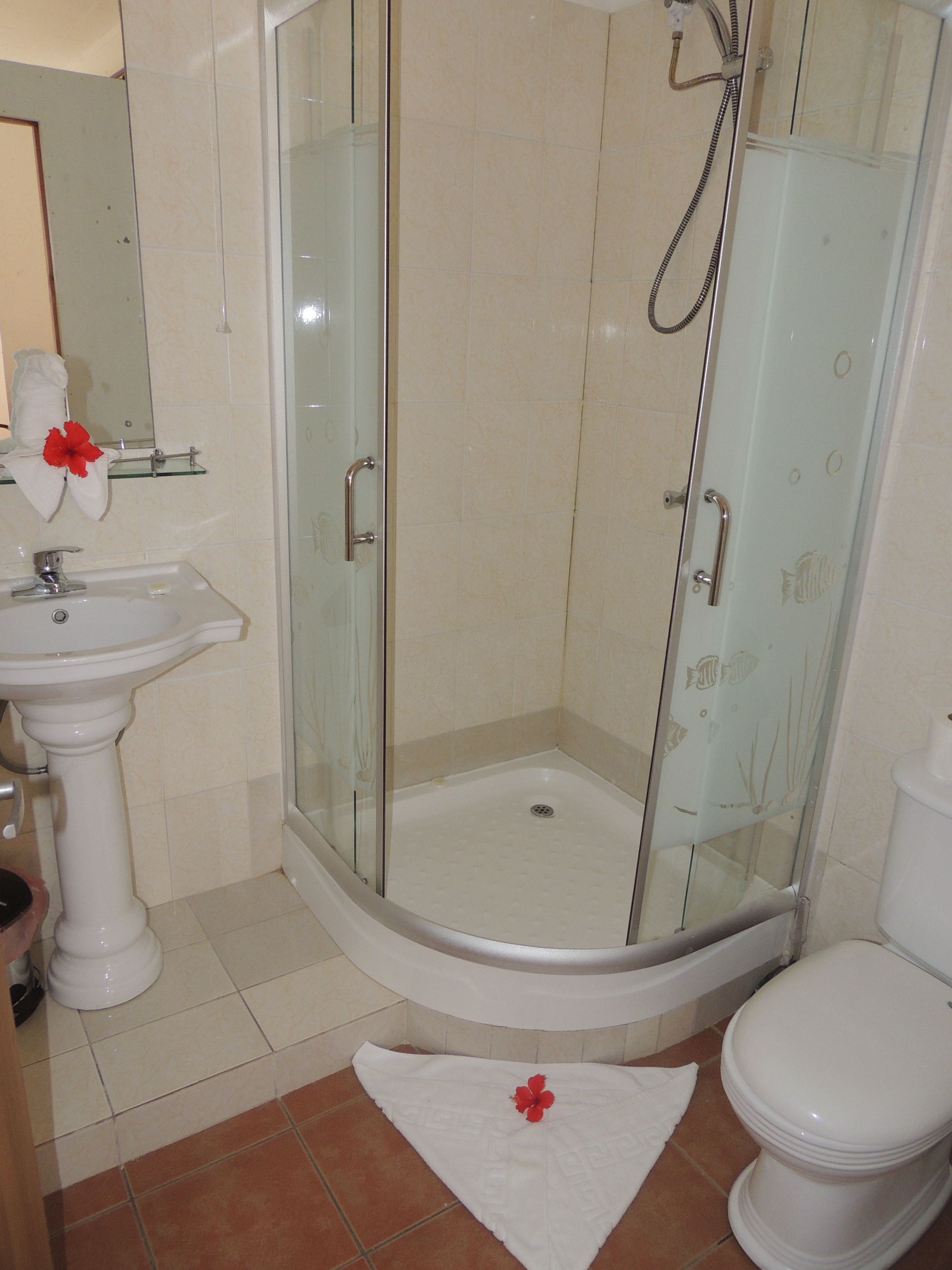A bathroom with a glass-enclosed shower, a pedestal sink, and a toilet.