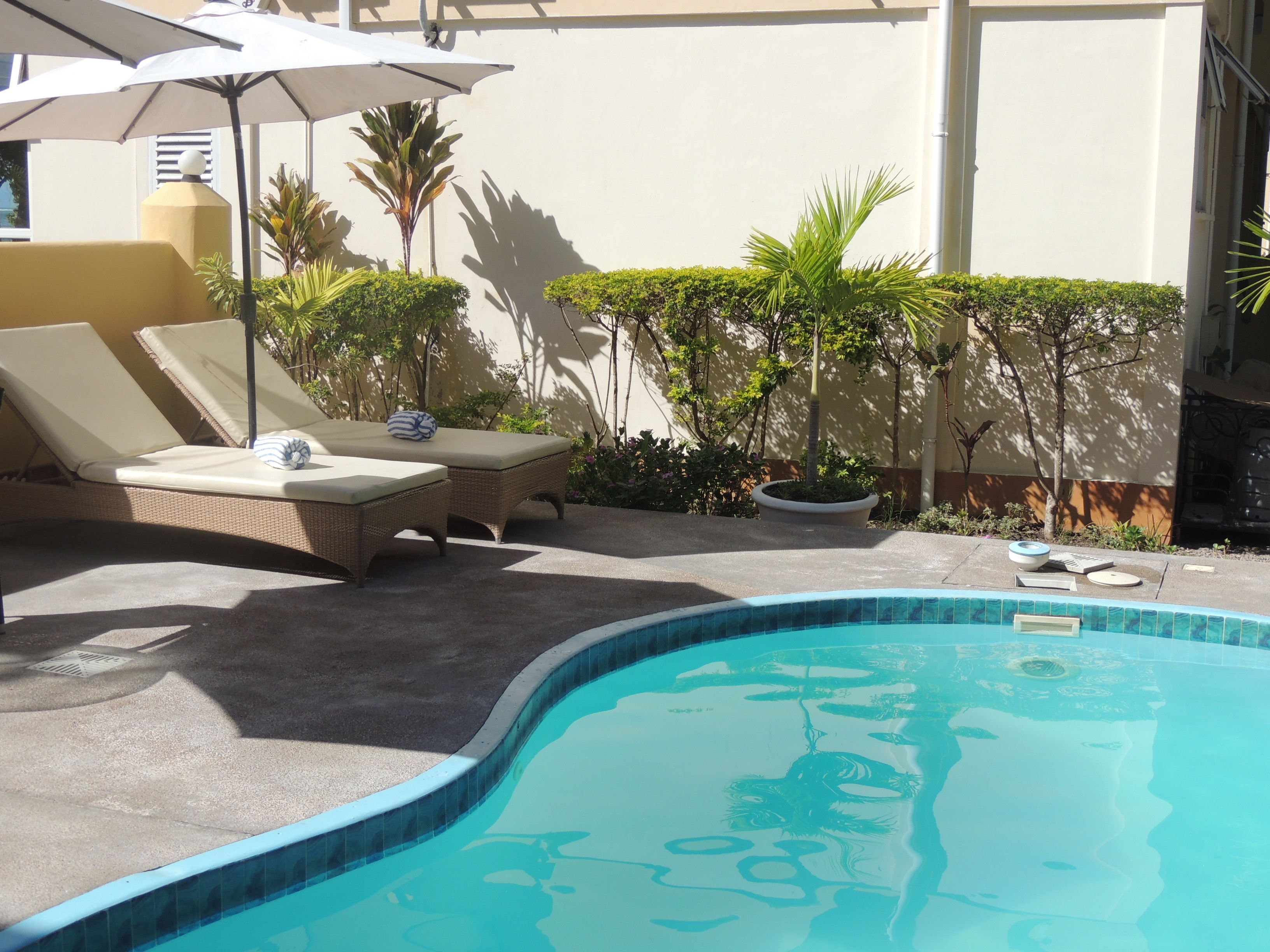 Outdoor pool, pool umbrellas, pool loungers