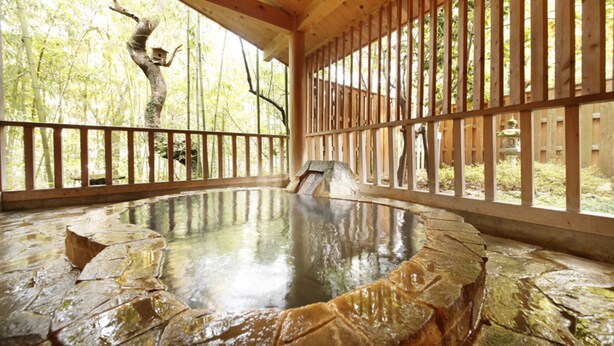 A traditional Japanese onsen with a stone bath, wooden railings, and a view of bamboo trees. - The Aizuya (Nasushiobara)