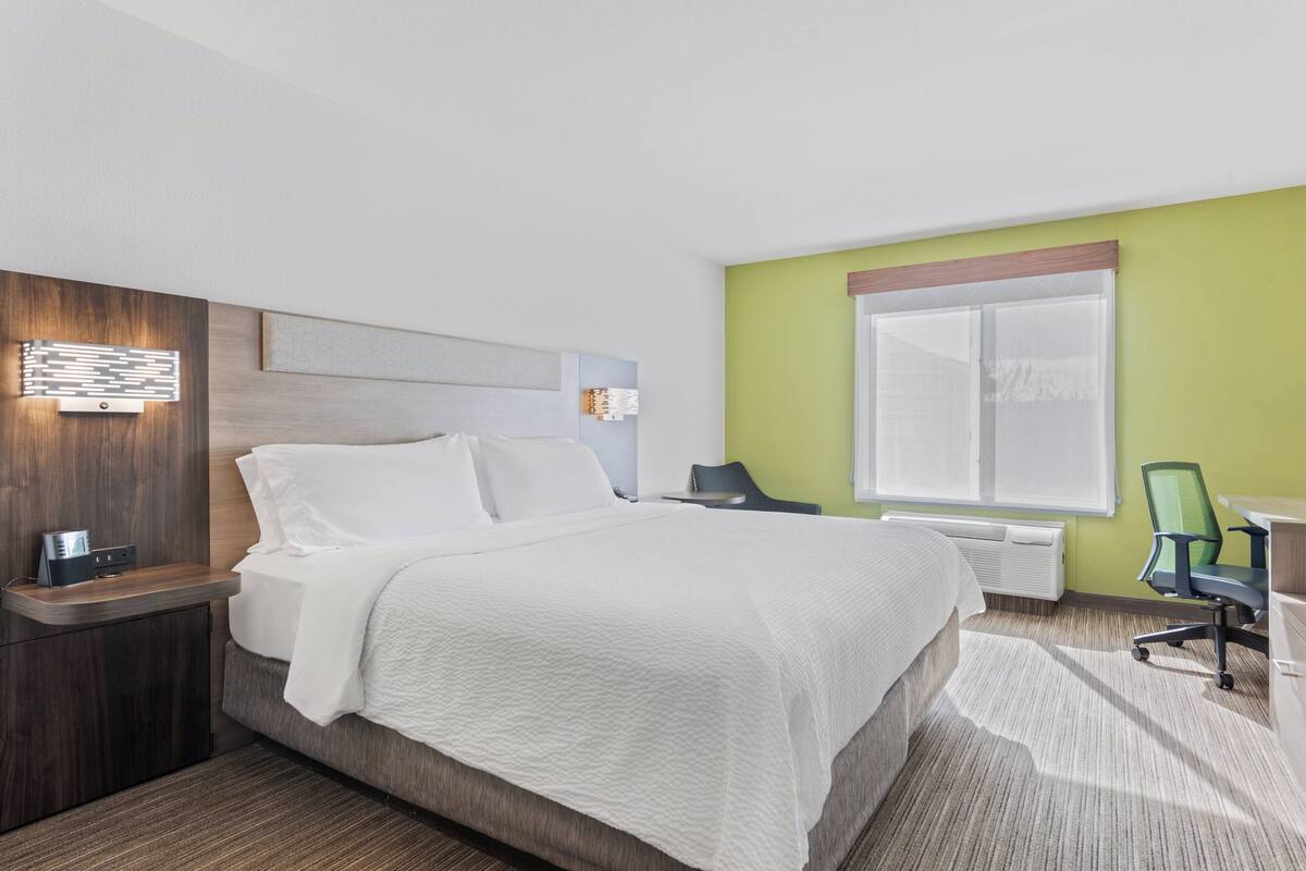 Standard Room, 1 King Bed (Pet Friendly) | Desk, laptop workspace, iron/ironing board, cribs (free)