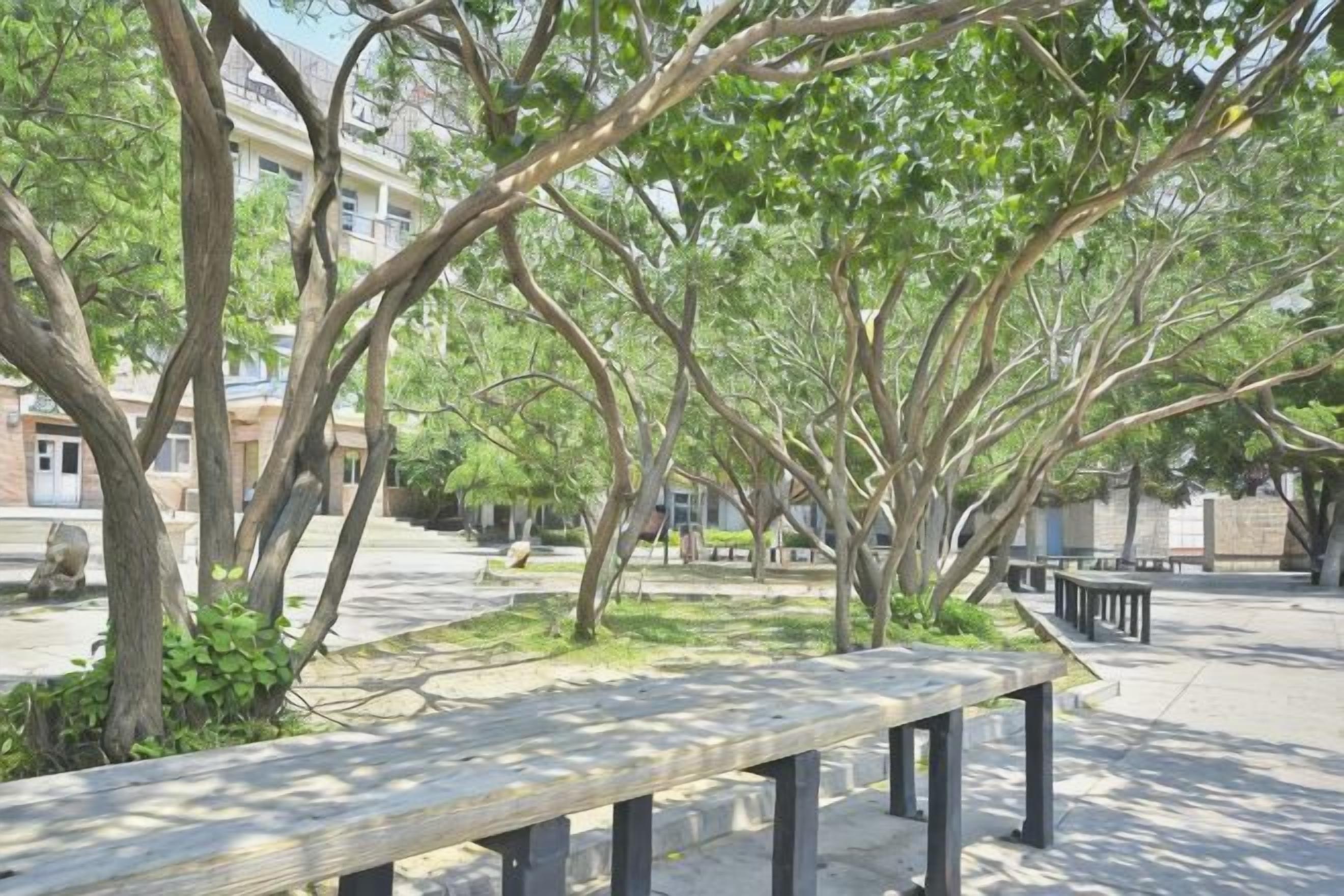 A park bench in a shaded area with trees and a building in the background.