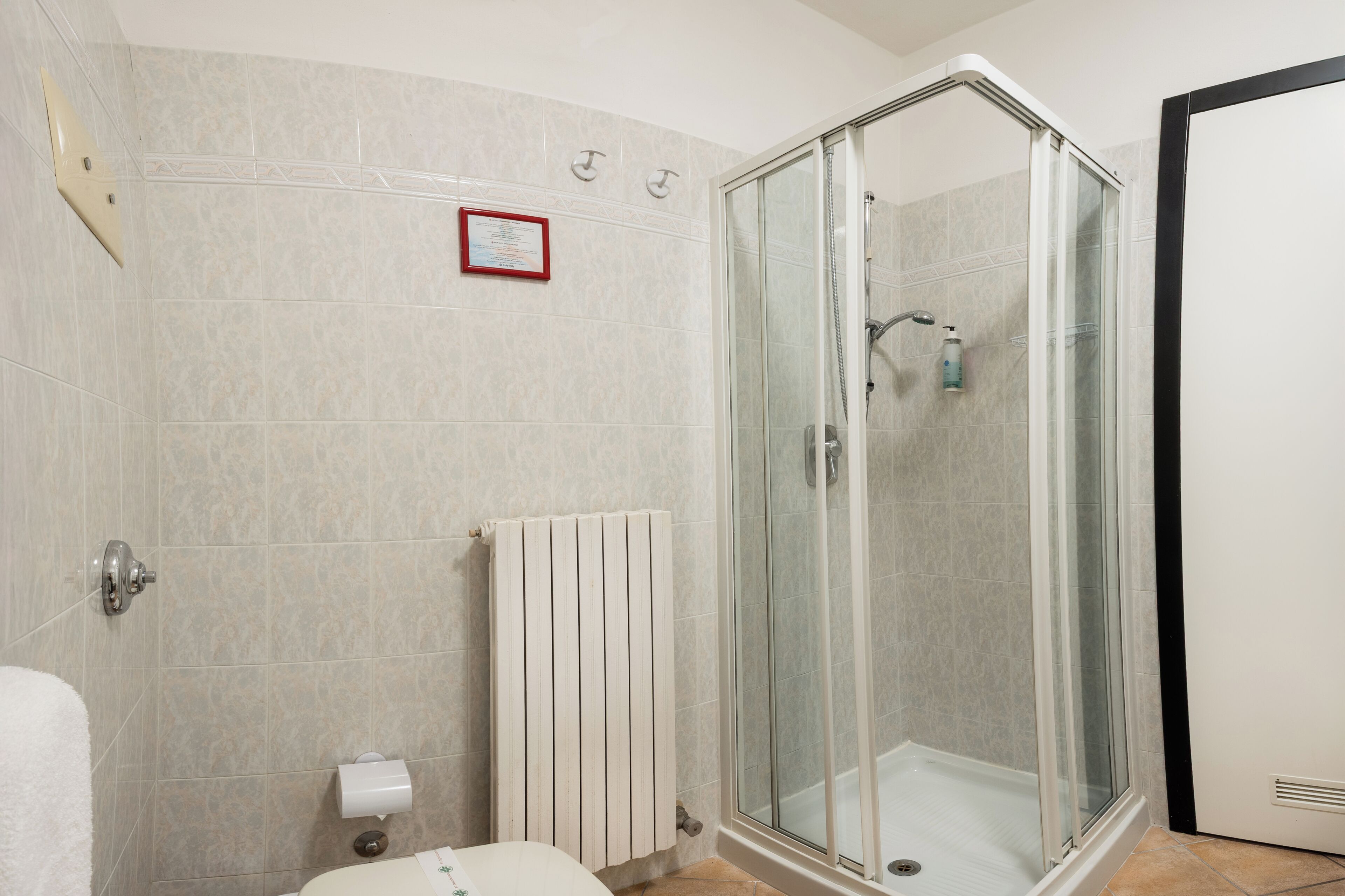 Ein Badezimmer mit Dusche, Toilette und Heizkörper.