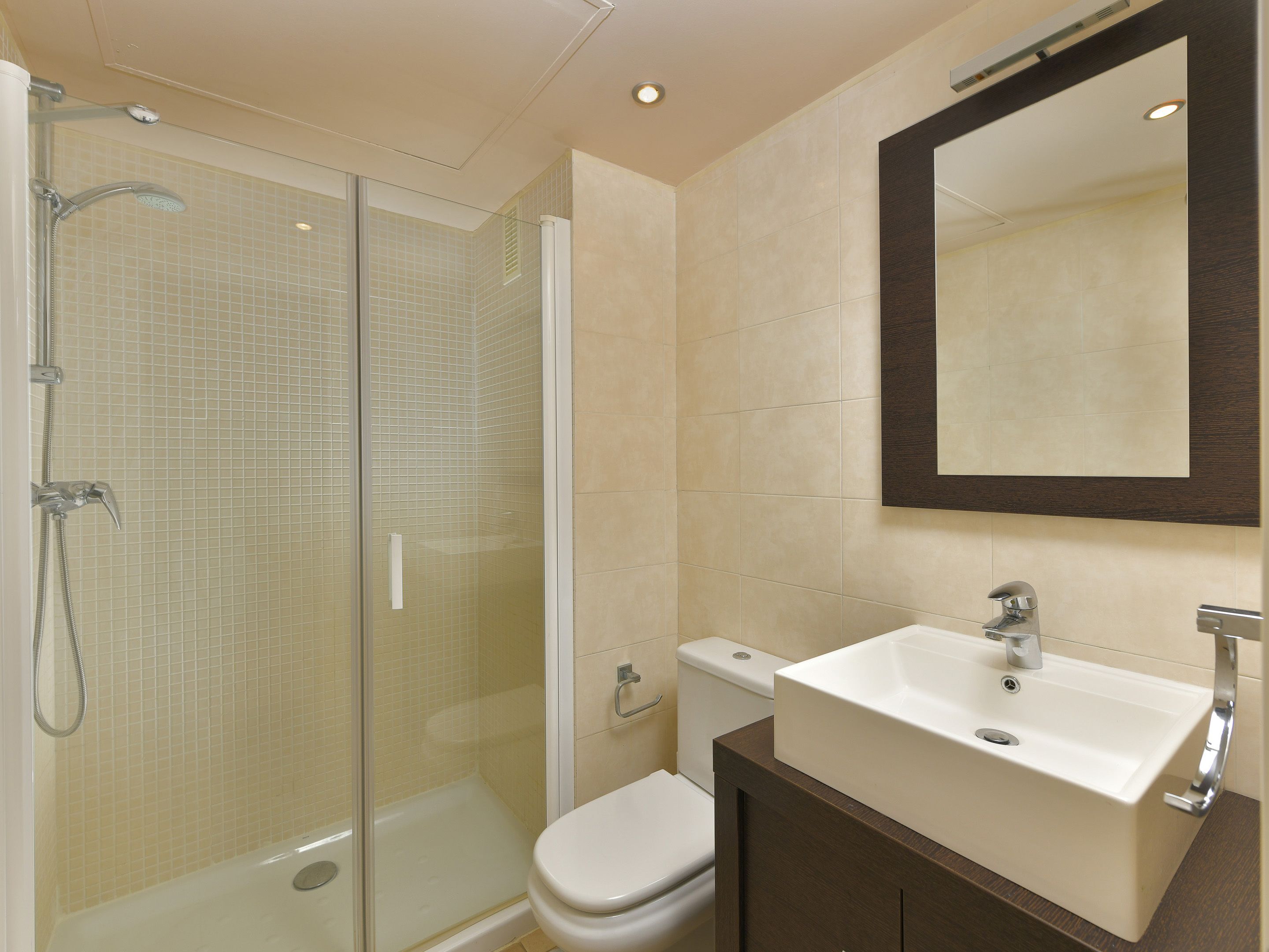 Un baño con ducha de vidrio, inodoro y lavabo con espejo.