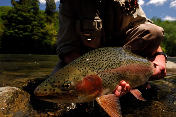 A person holding a large fish in a natural setting.