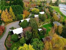 Vista aérea de una zona residencial con casas rodeadas de árboles densos y un río.