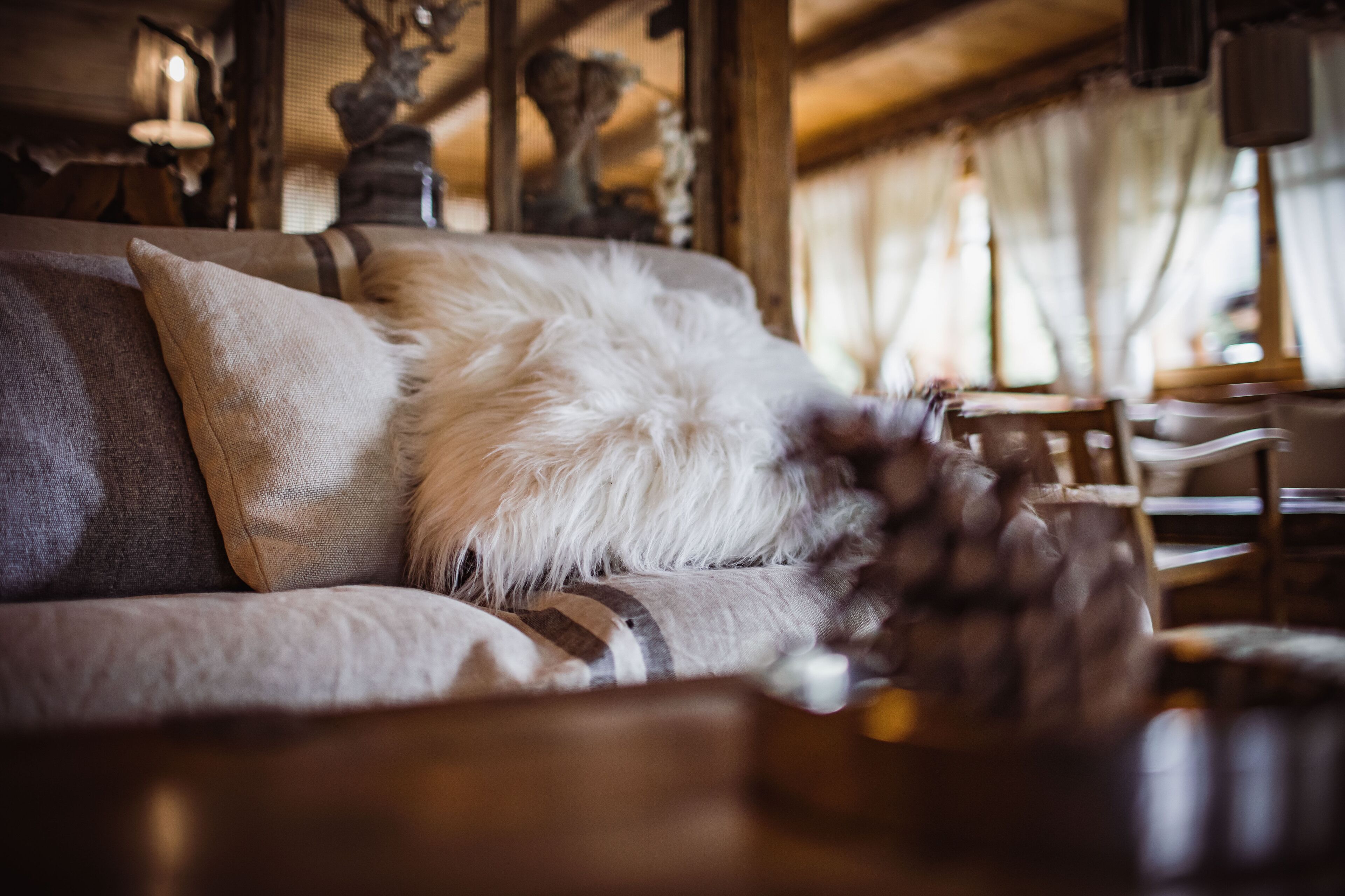 Photo - Chalet Svizzero