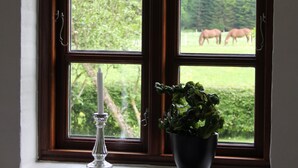 Una ventana con vista a caballos pastando en un campo.