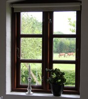 Vista desde la habitación