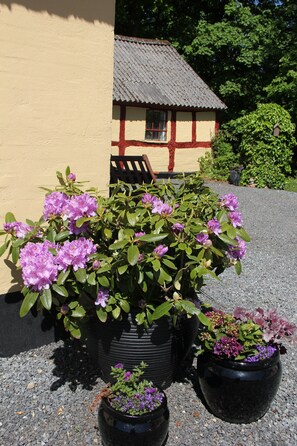 A building with a yellow exterior and a red window frame, surrounded by a gravel area with potted plants. - Munkebjerg Bed & Breakfast (Borkop)