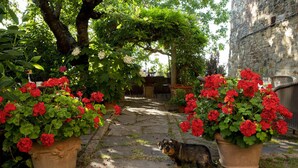 A stone pathway leading to a rustic outdoor seating area with large potted geraniums and a dog. - Palazzo Malaspina (Barberino Tavarnelle)