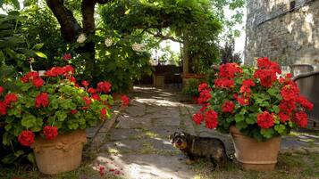 Chambre Double Royale, bain Ă  remous, vue jardin | Vue de la chambre