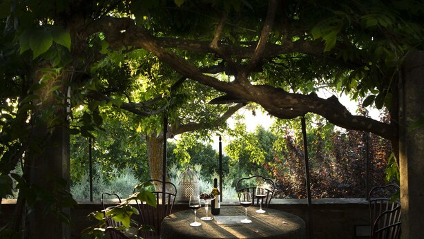 An outdoor seating area with a round table and chairs, surrounded by trees and a view of a garden. - Palazzo Malaspina (Barberino Tavarnelle)
