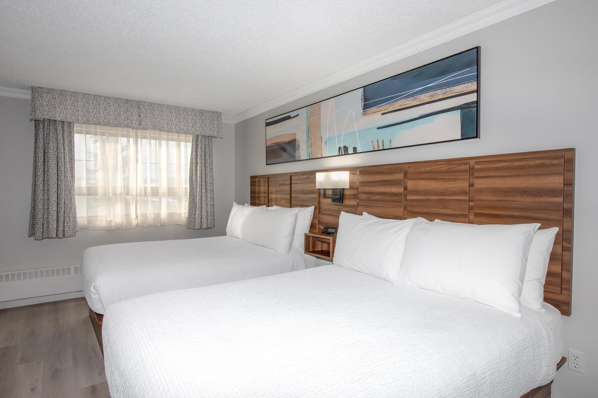 Habitación, 2 camas Queen size, se aceptan mascotas | Insonorización, tabla de planchar con plancha y cunas gratuitas