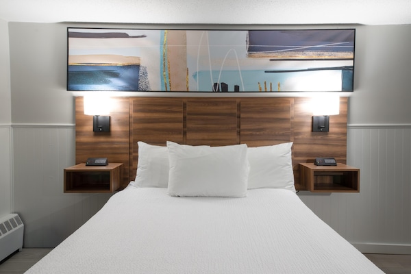 Premium kamer, 1 kingsize bed, kitchenette | Kamervoorziening
