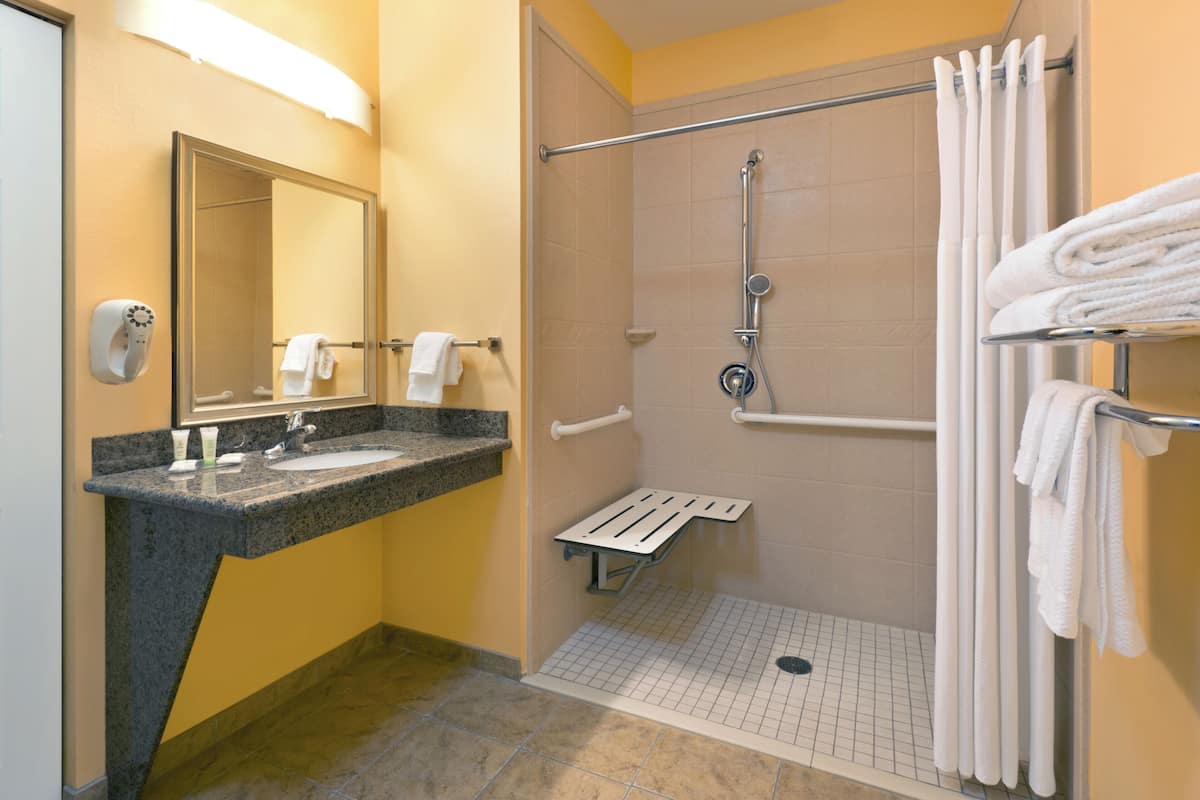 combined shower/bathtub, free toiletries, hair dryer, towels