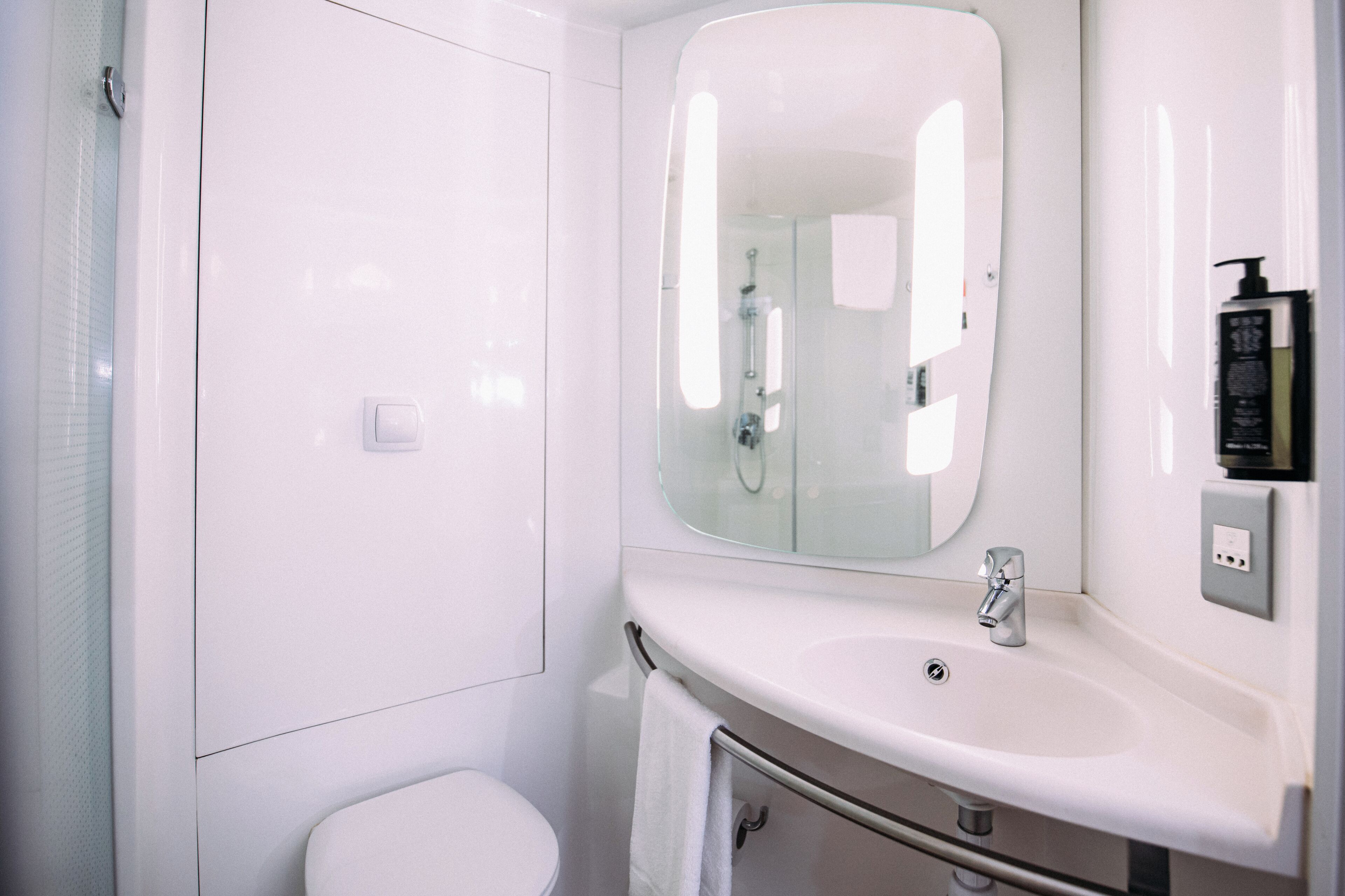 room, 1 double bed, accessible (accessible) | bathroom | shower, eco-friendly toiletries, hair dryer, towels