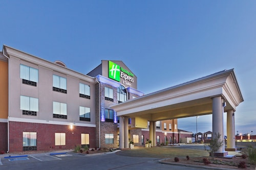 Holiday Inn Express Hotel & Suites Brownfield by IHG