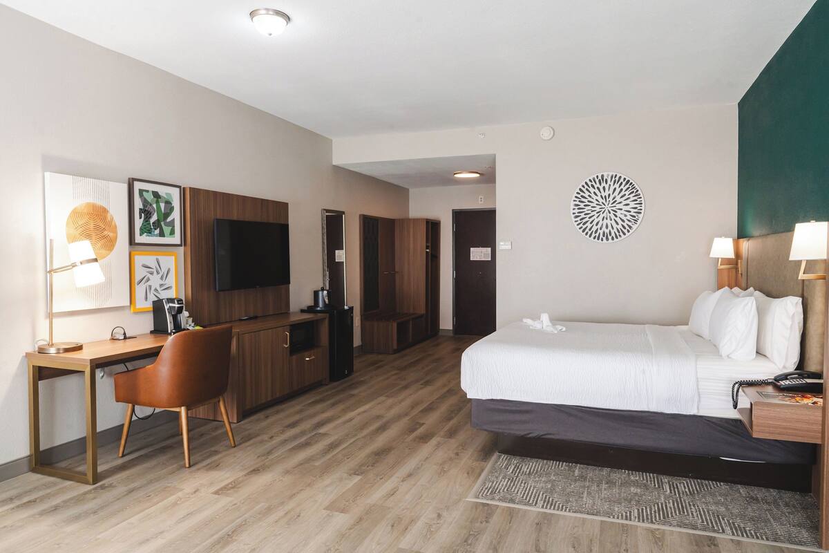 A hotel room with a bed, desk, chair, TV, and a decorative wall piece.