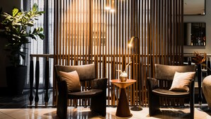 A modern interior with two leather chairs, a small round table, and a large potted plant. - Elite Hotel Esplanade (Malmö)
