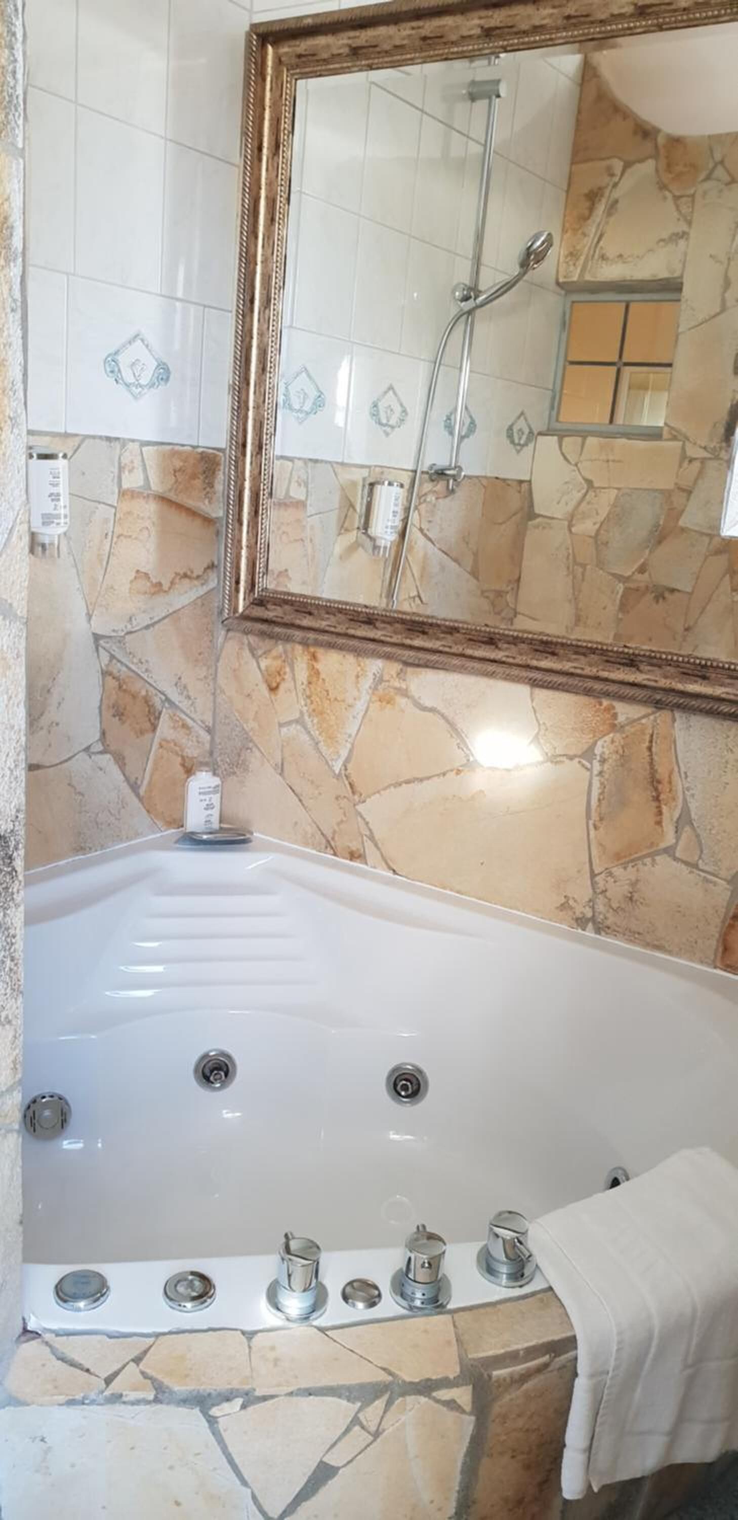 Une salle de bain avec une grande baignoire, une douche et un miroir.