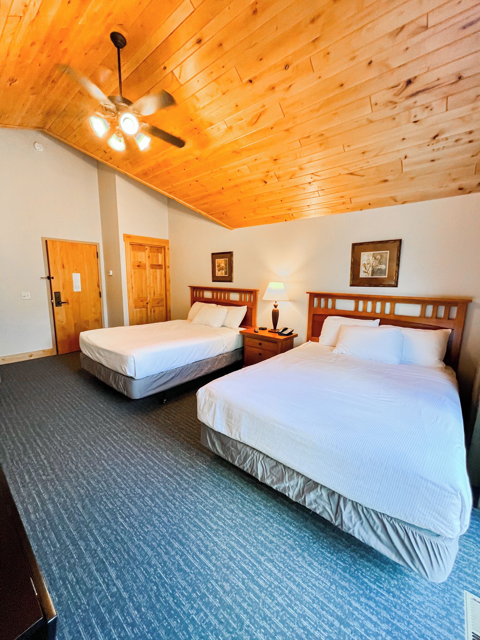 Fer et planche à repasser, accès au Wi-Fi (inclus), literie fournie