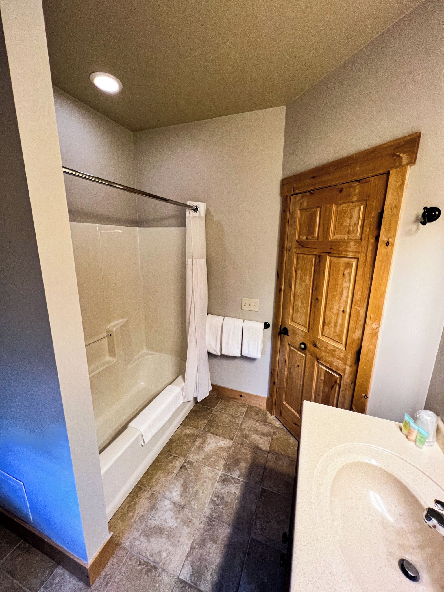 Une salle de bain avec une baignoire, une douche, une porte en bois et un lavabo.