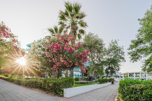 حديقة