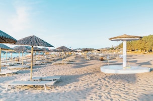 Una playa con filas de tumbonas y sombrillas de paja.