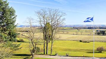 A rural landscape with a flagpole, trees, and open fields.