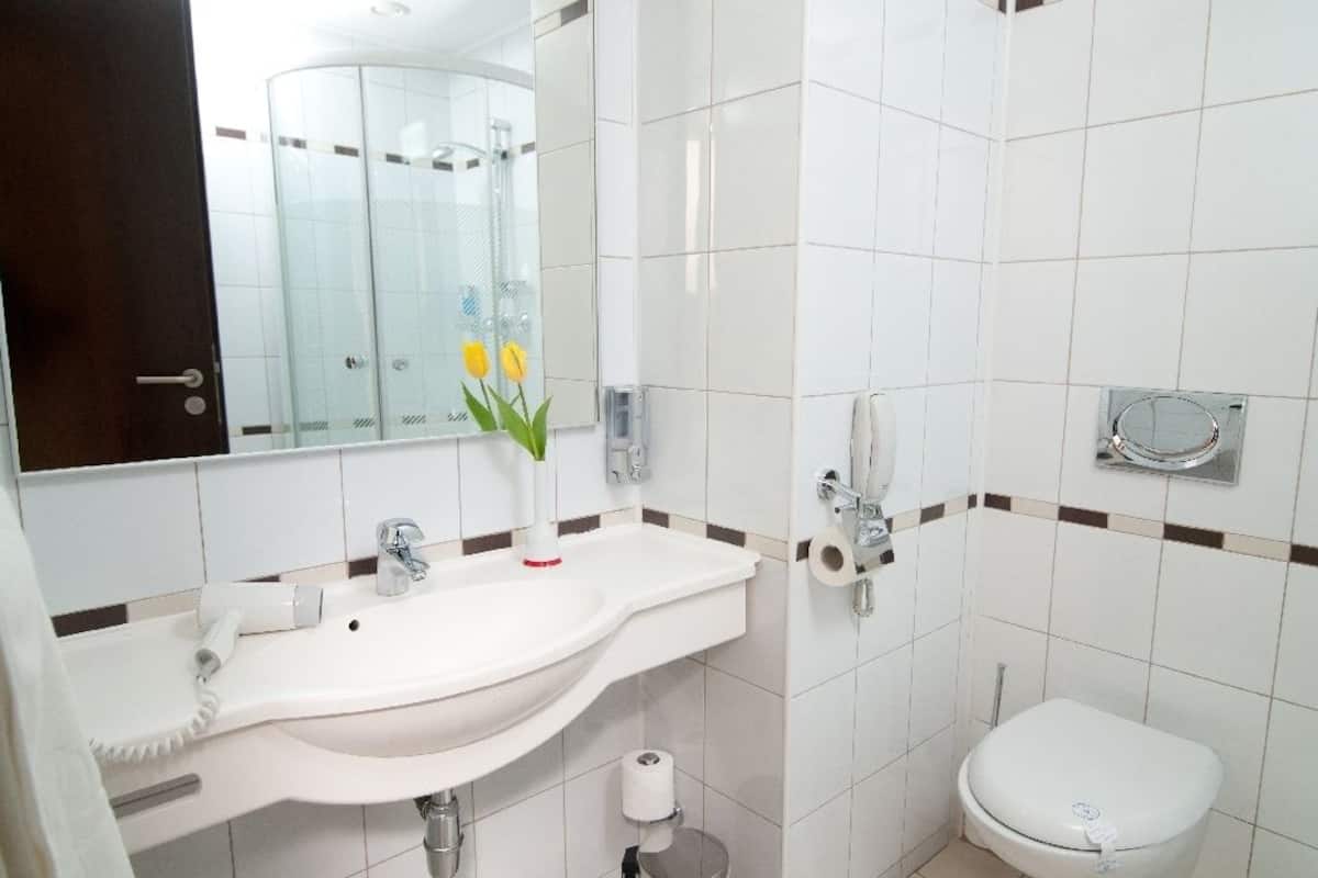 shower, free toiletries, hair dryer, towels