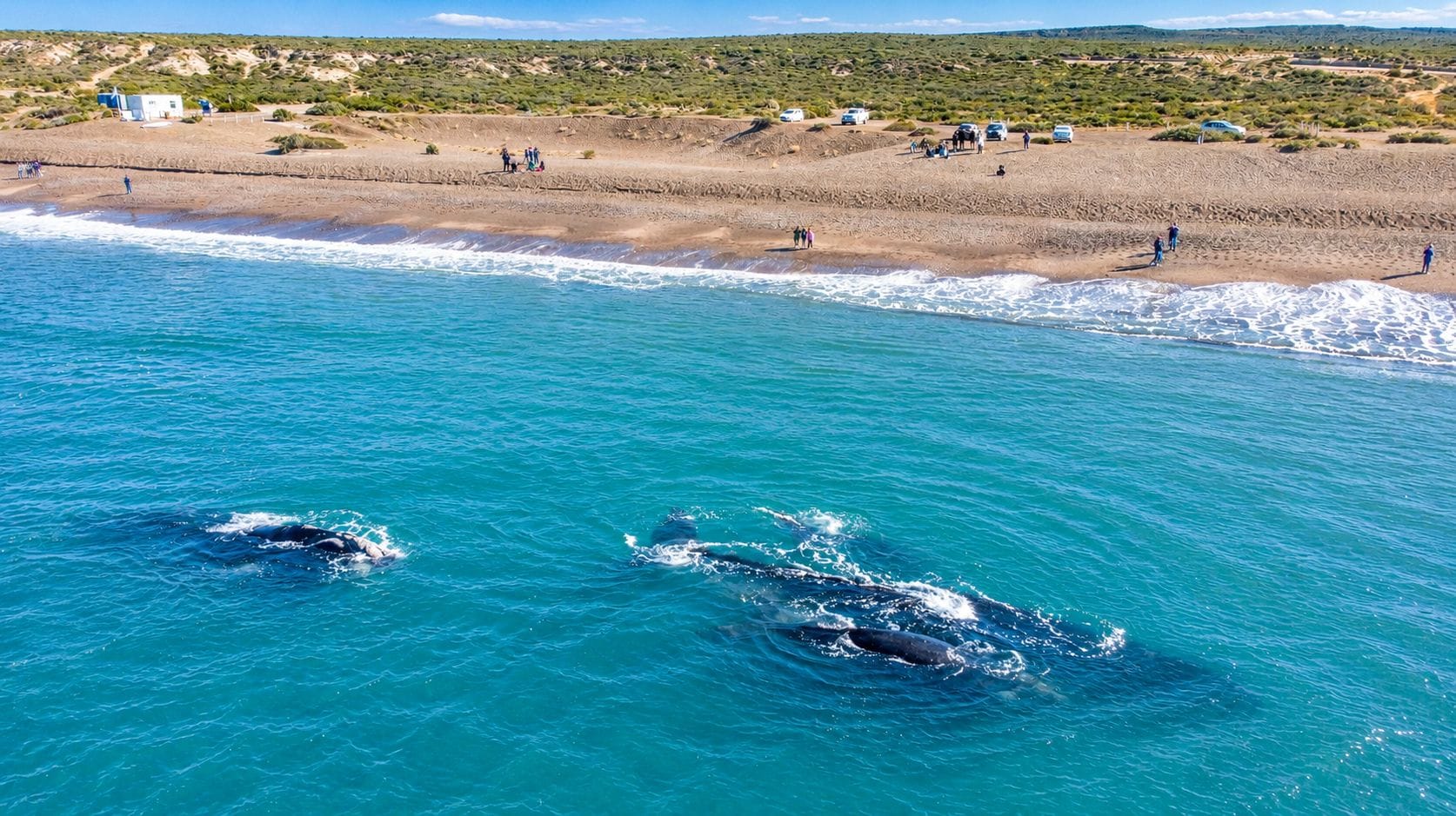 Una zona costera con playa y océano.